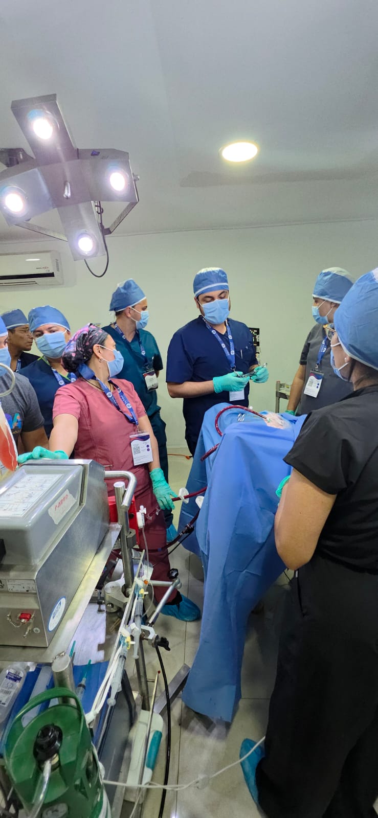 ECMO