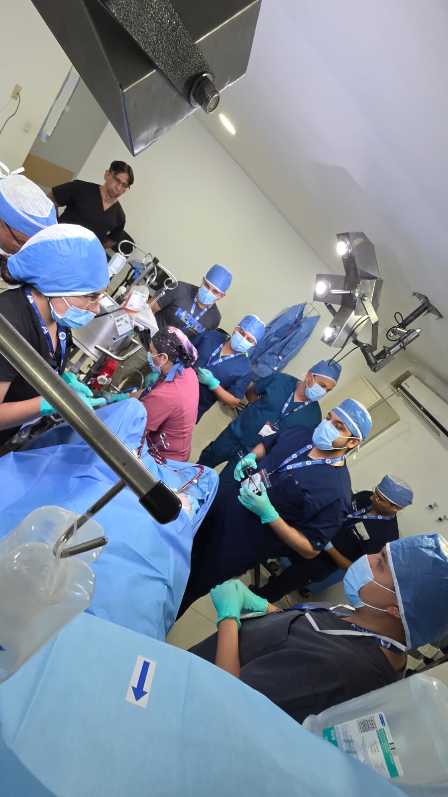 ECMO